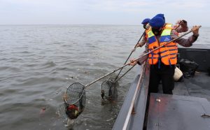 Sat Polair Polres Kepulauan Seribu Rutin Bersihkan Sampah di Laut